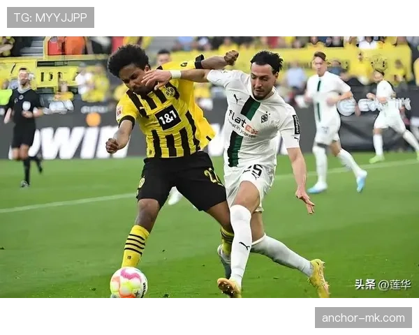 门兴主场状态回升，激情对决再现精彩表现