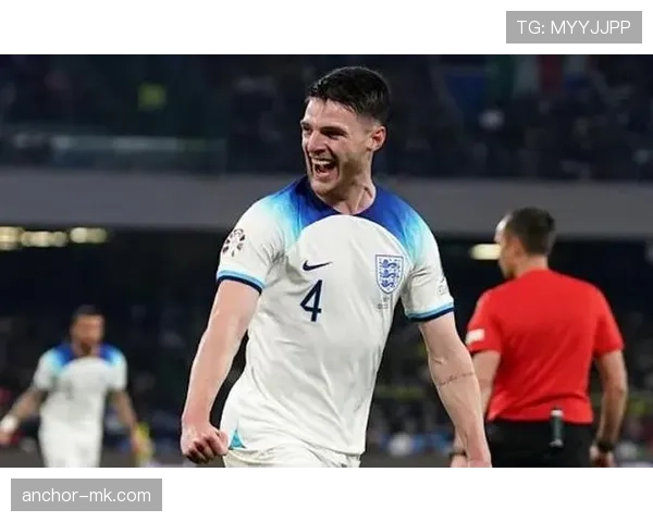 赖斯国家队表现